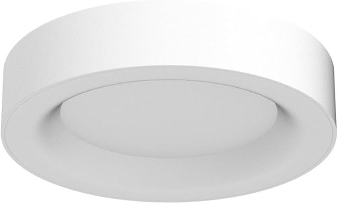 RGB Flush Mount Ceiling Light with Remote Control, 2400LM Dimmable Ceiling Light Fixture, 3000K-6500K Modern Low Profile Ceiling Lights for Bedroom Kids Room, 11in White