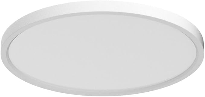 LightingWill 15.7 Inch LED Flush Mount Ceiling Light Fixture, 5000K Daylight White, 3800LM, 32W, Flat Modern Round Lighting Fixture, 320W Equivalent White Ceiling Lamp for Kitchens, Bedrooms.etc.