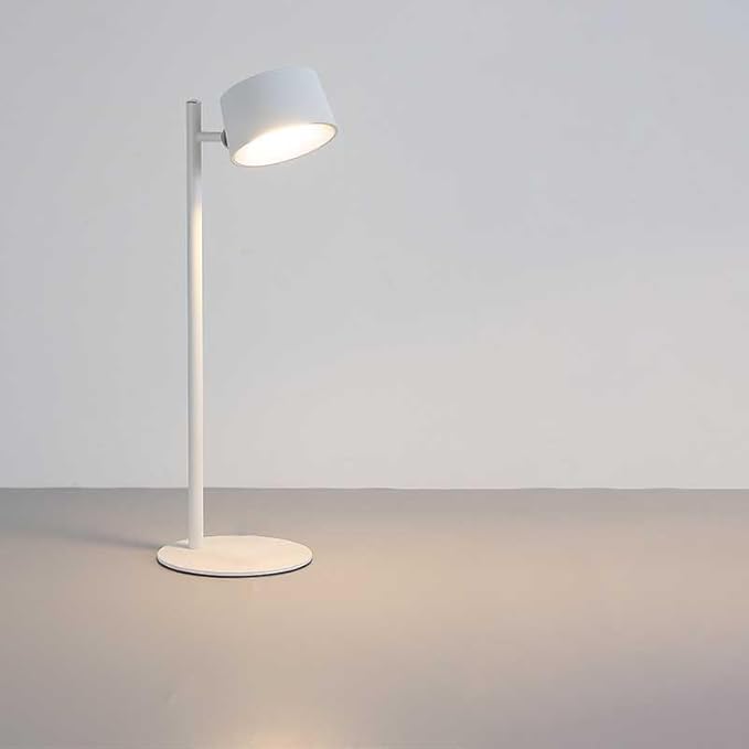 Eye Caring Table Lamp, LED Desk Lamp Dimmable Bedside Lamp with 3 Lighting Modes&3 Brightness Levels Touch Control USB Rechargeable Desk Light for Home Office Bedroom Reading Study Work (White)
