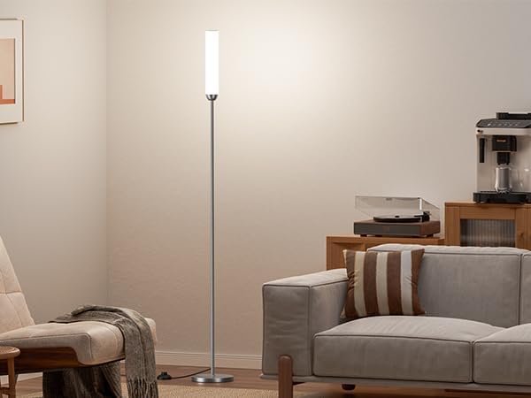 Ambimall LED Floor Lamp with Remote Control, 65" Standing lamp with Stepless Adjustable 3000K-6500K Colors & 30-100% Brightness, Foot Switch(Deep Grey) (Pack of 2)