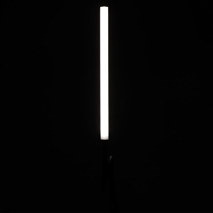 ZJchao LED Floor Lamp Modern Minimalist Eye Caring Reading Light for Living Room Bedroom