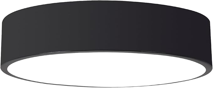 Flush Mount LED Ceiling Light, Dimmable 5CCT Modern Round Close to Ceiling Lighting Fixtures, Minimalist Black Ceiling Lamp,15.8 Inch