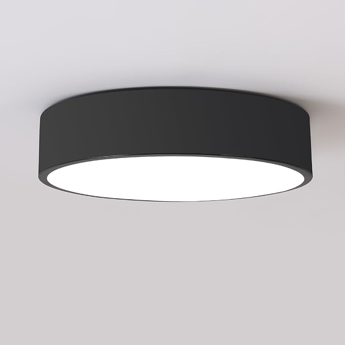 Black LED Flush Mount Ceiling Light,Modern Round Lighting Fixture, Dimmable Ceiling Lamp for Hallway,Kitchen,Entryway,11.8 Inch