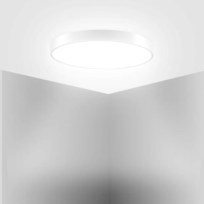 Ganeed LED Ceiling Lights,39W 19.6Inch Modern Ceiling Lamp,Flush Mount Lighting Fixture Round,6500K Cool White Ceiling Lighting for Dining Hallway Living Kitchen Bedroom Room