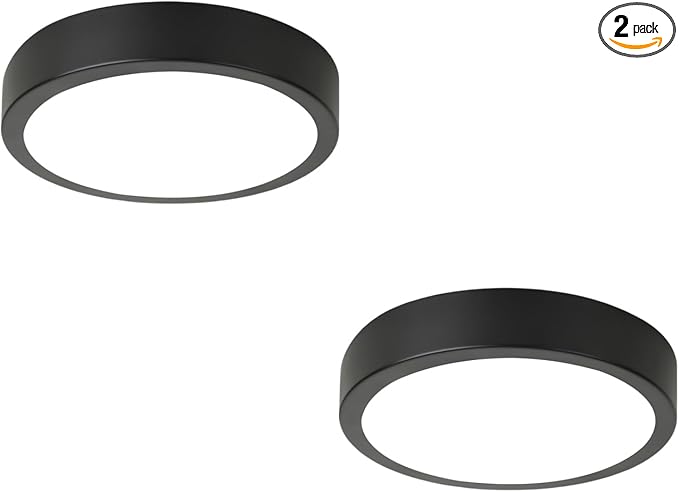 11" LED Flush Mount Ceiling Light, Black Mordern Ceiling Lighting with 5CCT 2700K-5000K, Dimmable LED Light Fixtures Ceiling Mount for Kitchen Bathroom Bedroom Hallway, 2 Packs
