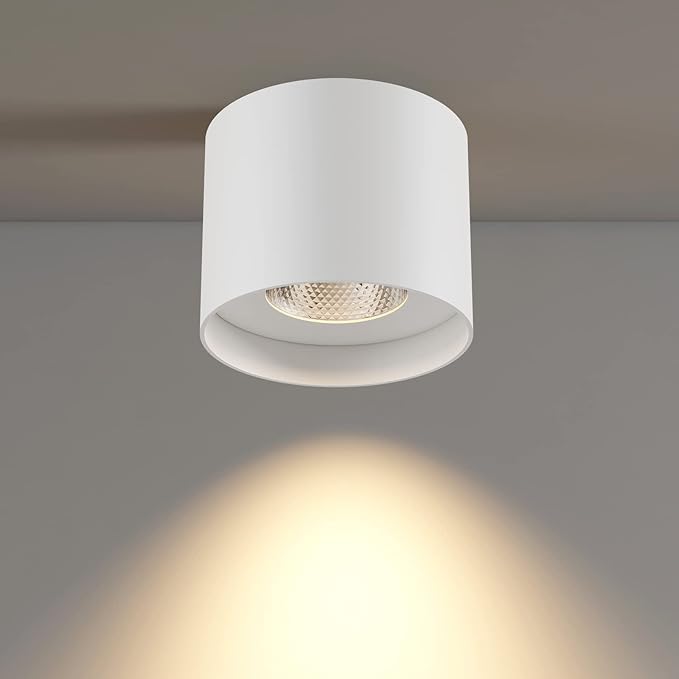Flush Mount Ceiling Light, 20W LED Dimmable 5.9" Cylinder Ceiling Light, Aluminum Rustic Modern Ceiling Lamp for Foyer Closet Kitchen Hallway Entryway 3000K Warm White