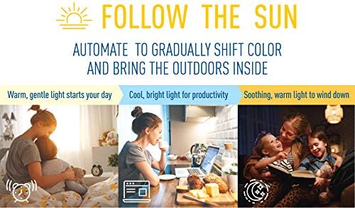 Cree Lighting Connected Max Smart Led Bulb A19 60W Tunable White + Color Changing, 2.4 Ghz, Works with Alexa and Google Home, No Hub Required, Bluetooth + WiFi, 1Pk