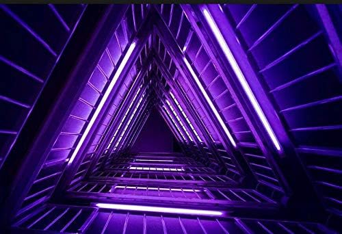 US Stock 110V Beautiful Violet Flexible LED Neon Rope Light Strip Waterproof Neon LED Rope Lighting Wedding Christmas Party Home Decor Indoor Outdoor Room Decor Lighting