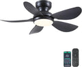 36 Inch Modern Ceiling Fans with Lights, Small Flush Mount Ceiling Fan, Remote/APP Control, 5 Reversible Curved Blades, 6 Speeds, 3 CCT Dimmable Lights for Kids Room Bedroom, Black