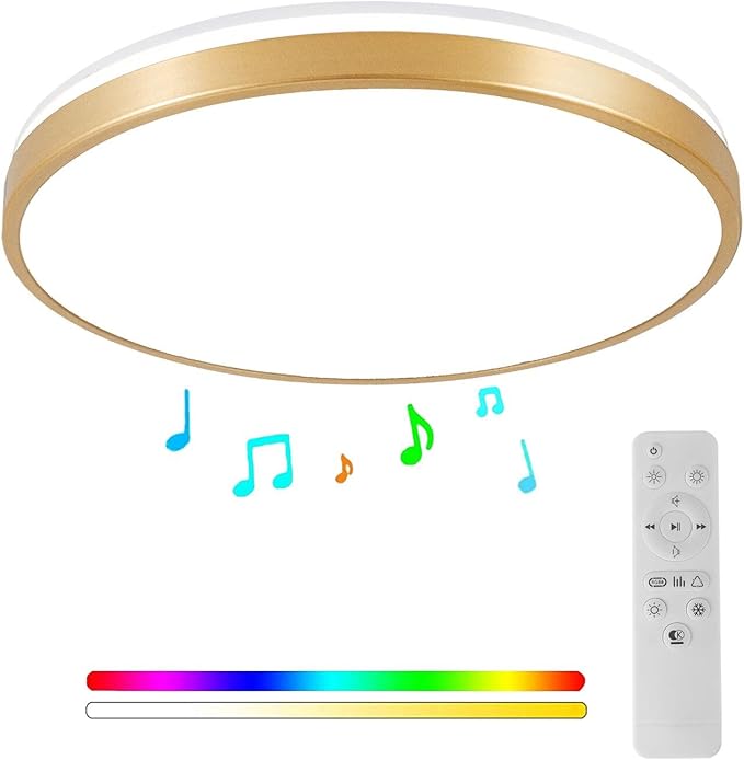 HOREVO RGB Flush Mount Light Fixture with Bluetooth Speaker, 24W Dimmable Brushed Nickel LED Ceiling Light for Bedroom, Living Room, Kid's Rooms, Kitchen, Hallway (Need Wired)