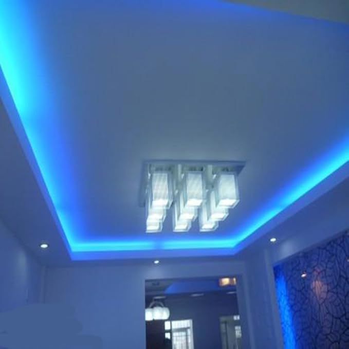 30ft 2-Wire Waterproof LED Rope Light Kit,110V-120V PVC 30 LED/M Tube Lights Strip for Background, Outdoor, Christmas, Home Decoration(Blue)