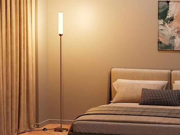 Ambimall LED Floor Lamp with Remote Control, 65" Standing lamp with Stepless Adjustable 3000K-6500K Colors & 30-100% Brightness, Foot Switch(Brown)