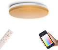 1-Pack, 12 inch Smart LED Music Ceiling Light with Bluetooth Speaker, Compatible with Alexa & Google Home, Color Changing RGB Dimmable Light for Living Room, Bedroom, Kitchen