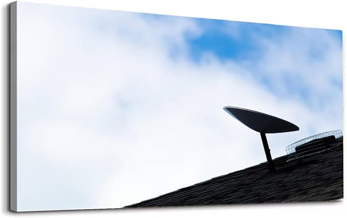 Wibinuki Wall Art Wall Decor Wall Paintings A SpaceX Starlink sellite dish is seen installed on a roof of a for Living Room Bedroom Bathroom Home Decor Can Be Hung Directly 20"x 40"