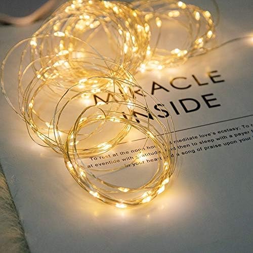 LIIDA LED Fairy String Lights, 12-Pack 20 Micro Lights On Silver Copper Wire (Batteries Include) for DIY Wedding Centerpiece, Mason Jar Craft, Christmas Tree, Garlands, Party Decoration (Warm White)