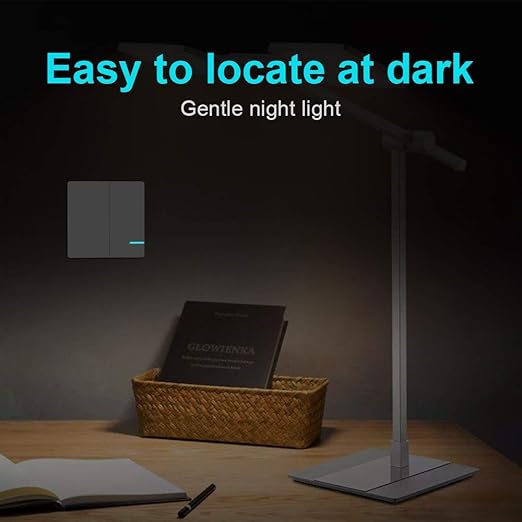 Wireless Lights Switch Kit, Thinkbee 2 Gang Wall Switch with Mini Receiver, Outdoor 600M, Indoor 50M Remote Control Ceiling Lamp LED Bulb IP66 Waterproof