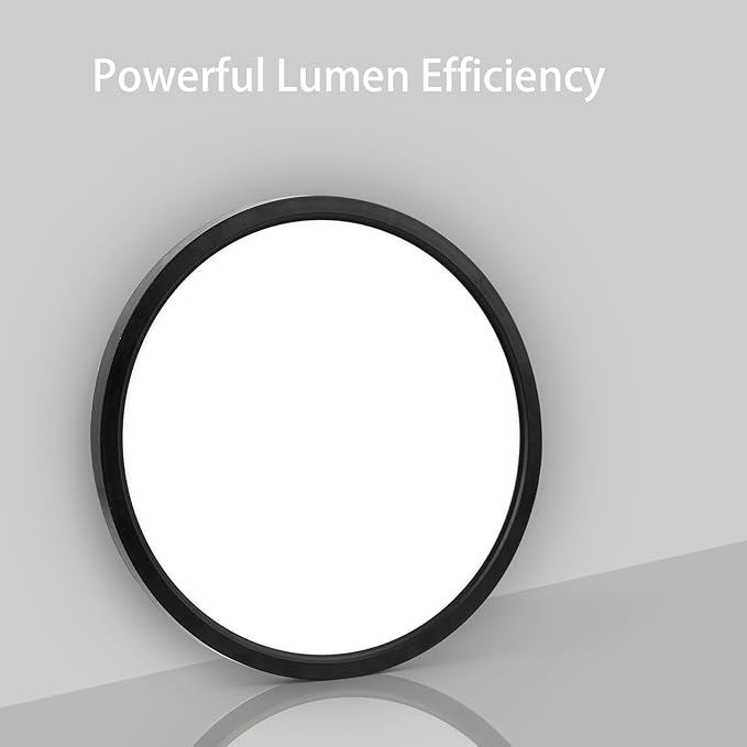 TALOYA Dimmable Flush Mount Ceiling Light,15.8Inch,24W,5 CCT,LED Ceiling Light Fixture for Bedroom,Kitchen,Living Room,Black