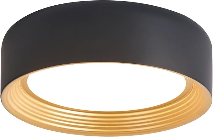 Dimmable Modern LED Flush Mount Ceiling Light,11.8 Inch 5CCT 24W/3000K-6000K,Minimalist Round Black and Gold Close to Ceiling Lighting Fixtures for Kitchen,Hallway,Laundry Room,Entryway,Porch
