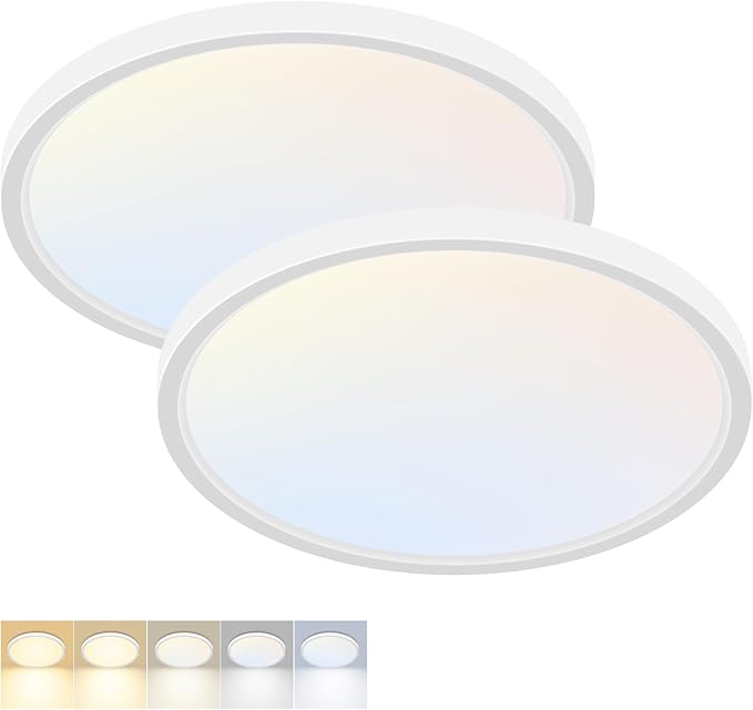 2 Pack LED Flush Mount Ceiling Light,12Inch 24W,3000K/3500K/4000K/5000K/6500K 5 Color Temperatures Ceiling Light Fixture for Kitchen Porch Hallway Bedroom Bathroom and Closet,White