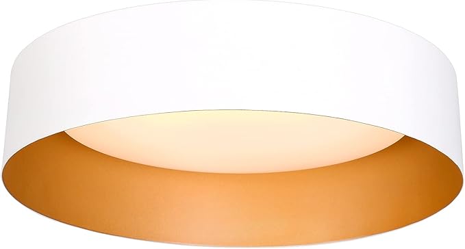 Bargeni LED Ceiling Light Fixture,12.5 inch Flush Mount Light Fixture,Matte White with Gold Inside,Dimmable 3000K/Warm White/18W(100w Equiv.),Outdoor Lighting Fixtures Ceiling for Bedroom and Hallway