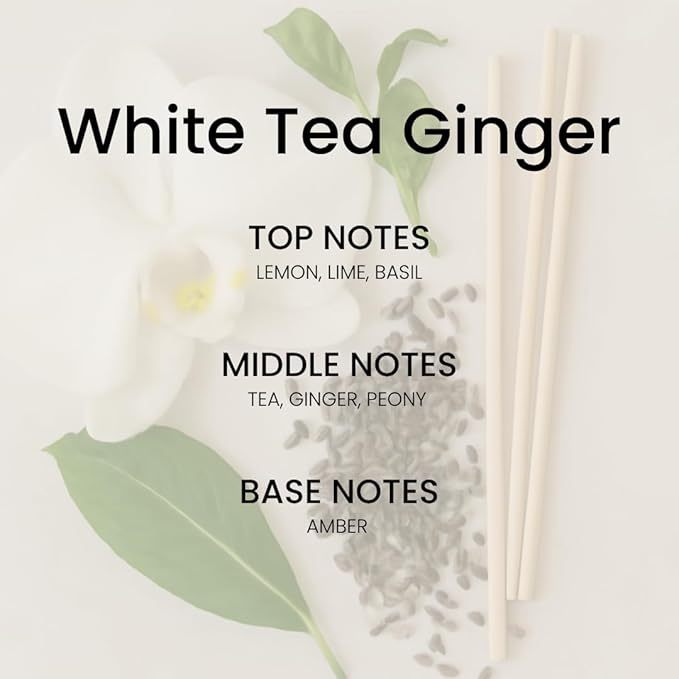 White Tea Reed Diffuser Set (5.63 oz) - Luxury Fragrance Stick Reed Diffusers for Kichen, Home, Office & Bathroom Shelf Decor, Long-Lasting Scent Sticks Diffuser with Non-Toxic Oils, Idea