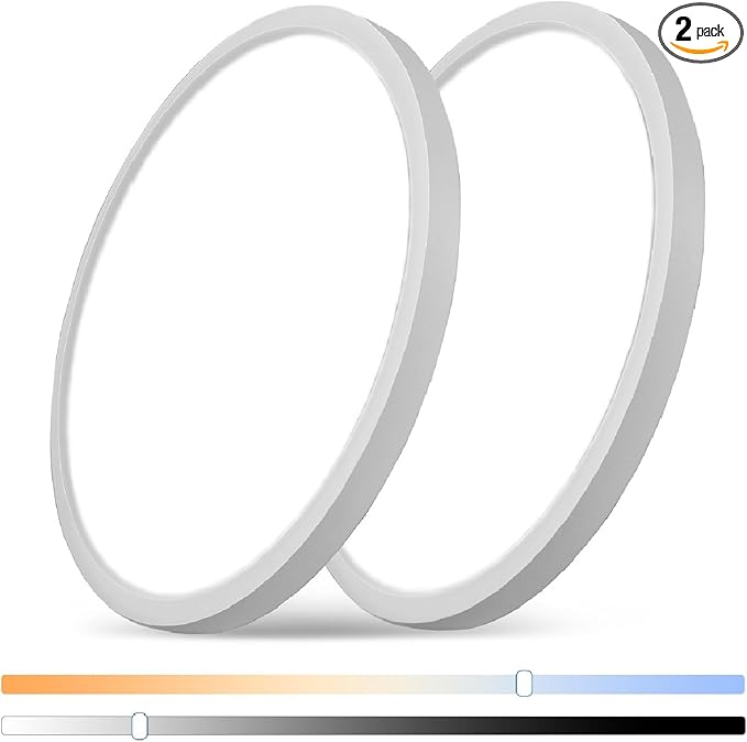 12 Inch Dimmable LED Flush Mount Ceiling Light 2 Pack, 24W=2400LM, Low Profile Ceiling Light with 3 CCT (3000K/4000K/5000K), 5%-100% Dimming for Bedroom, Basement & Closets, White