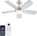Ceiling Fans with Lights