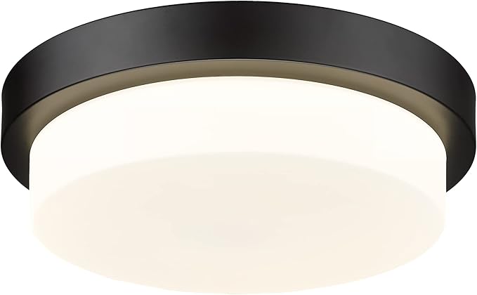 Black Flush Mount Ceiling Light, 13inch Close to Ceiling Light Fixtures 24W 2200lm Dimmable 2700K/3000K/4000K/5000K/6000K LED Ceiling Lamp for Bedroom Hallway Kitchen, AD-22008-L-BK