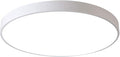 Ganeed LED Ceiling Lights,39W 19.6Inch Modern Ceiling Lamp,Flush Mount Lighting Fixture Round,6500K Cool White Ceiling Lighting for Dining Hallway Living Kitchen Bedroom Room