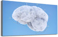 Wibinuki Wall Art Wall Decor Wall Paintings Cloud Computing And Artificial Intelligence for Living Room Bedroom Bathroom Home Decor Can Be Hung Directly 20"x 40"