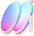 2 Pack 12 Inch Smart Ceiling Light Fixture, RGB LED Flush Mount Ceiling Light with Night Light, 24W 2400LM Ultra-Slim Ceiling Light with Remote, 16 Million DIY Colors, Works with Alexa/Google Home
