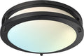 LUXRITE 10 Inch LED Flush Mount Ceiling Light, 5 Color Selectable 2700K | 3000K | 3500K | 4000K | 5000K, Dimmable, Modern Ceiling Light Fixture, 14W, 1050 Lumens, Energy Star, ETL Listed, Matte Black