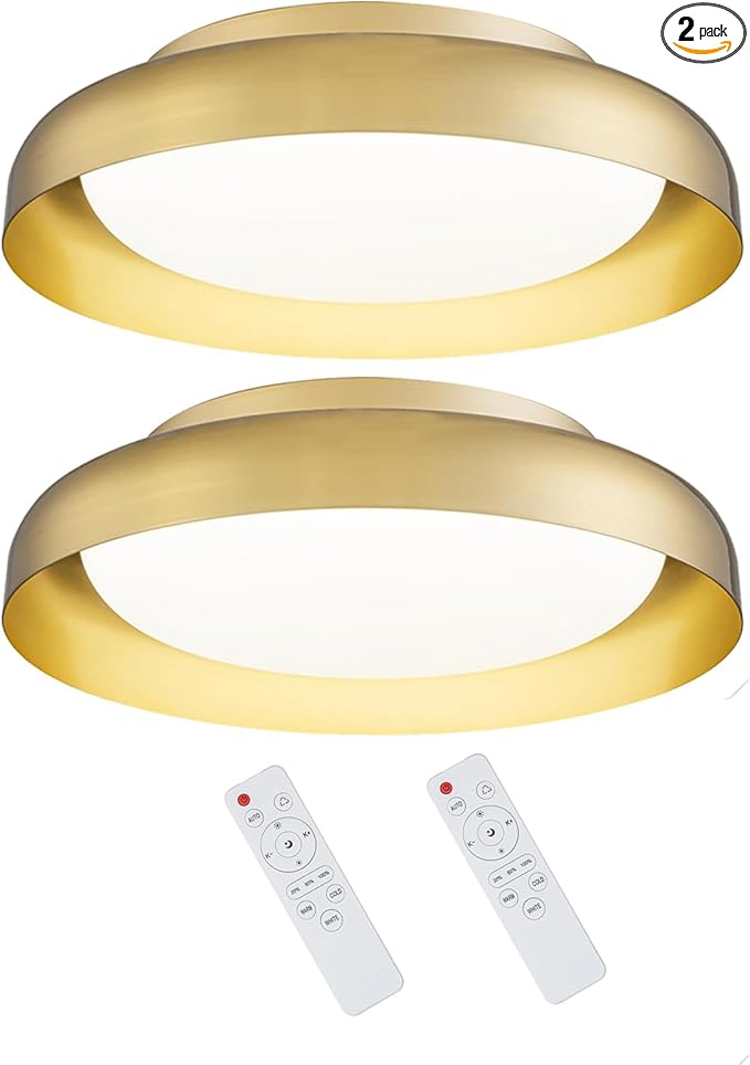 Ken & Ricky Flush Mount Ceiling Light Fixture, Led Dimmable 24w for Bedroom Kitchen Bathroom Laundry Hallway Entryway,Remote Control (Brushed Gold,12Inch,2PK)