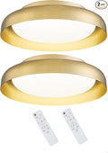 Ken & Ricky Flush Mount Ceiling Light Fixture, Led Dimmable 24w for Bedroom Kitchen Bathroom Laundry Hallway Entryway,Remote Control (Brushed Gold,12Inch,2PK)