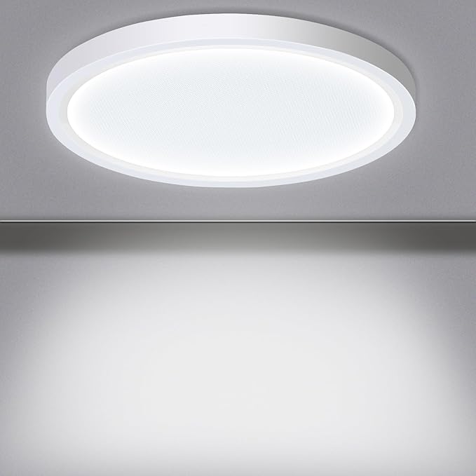 LED Flush Mount Ceiling Light Fixture, 24W 12Inch 3000K/3500K/4500K/5000K/6500K 5 Color Changeable 2880LM Low Profile Ceiling Light for Bedroom, Living Room, Dining Room,White 2 Packs