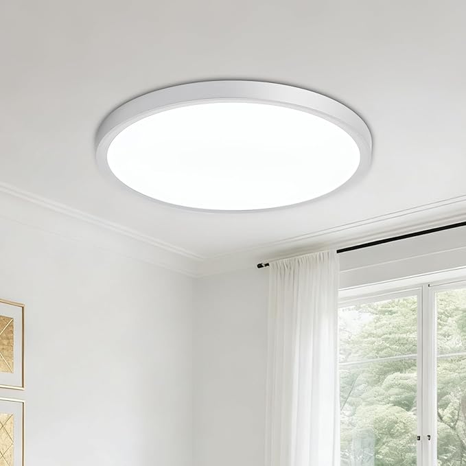LED Flush Mount Ceiling Light: 12 inch 1Pack Super Slim Dimmable & 5CCT (2700-6500K) Kitchen Lighting Fixtures Ceiling - 24W Silver Low Profile Ceiling Lamp for Bedroom Garage Hallway