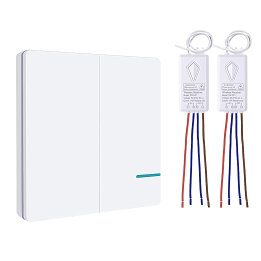 Wireless Lights Switch Kit, Thinkbee 2 Gang Wall Switch with Mini Receiver, Outdoor 600M, Indoor 50M Remote Control Ceiling Lamp LED Bulb IP66 Waterproof