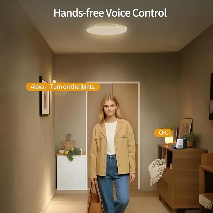 Smart LED Ceiling Lights RGBCW Color Changing Ceiling Light Compatible with Alexa Google Home Flush Mount Ceiling Lamp 24W Time Scheduler Dimmable for Living Room, Bedroom
