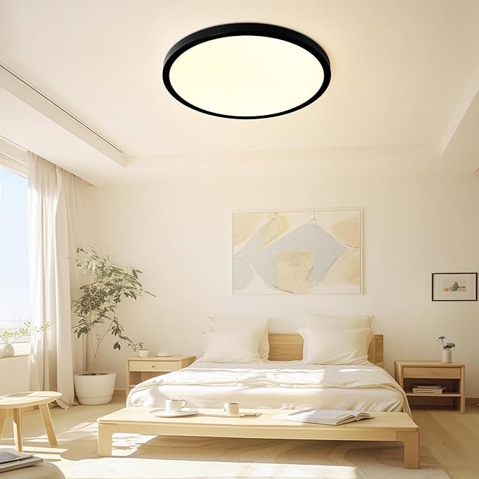 20 Inch LED Flush Mount Ceiling Light Fixture - 48W Dimmable Ceiling Light with Remote, 4800lm, 3000/4500/6000K Adjustable LED Kitchen Ceiling Lamp for Bedroom, Black