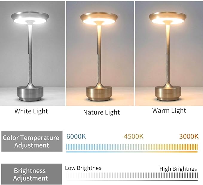 Cordless LED Table Lamp, Rechargeable Touch Control Desk Lamp Battery Operated Nightstand Night Light with Dimmable Brightness for Living Room, Home Office, Restaurant (Silver)