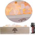 Himalayan Pink Salt Lamp Diffuser with Wood Base - 300g Natural Salt, USB Powered, Warm Light & 10ml Passion Fruit Essential Oil Set for Aromatherapy, Relaxation, Meditation, Home Decor, Gifts
