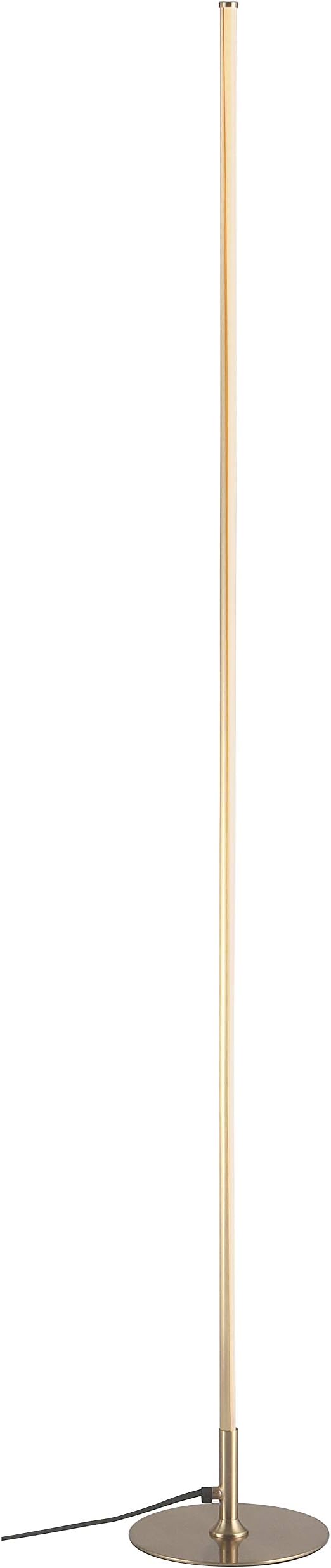 Eyely EYL7007B Homer 59.5" LED Integrated Floor Lamp for Reading Room, Living Room, Office, Bedroom, Modern, Contemporary, Gold