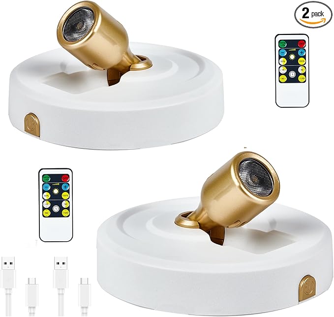 2-Pack Wireless LED Spotlight, Rechargeable Picture Lights, Uplighting Indoor, Painting Light with Remote Dimmable and Timer, Plant Spot Lights for Wall Art Display Dartboard Painting Artwork