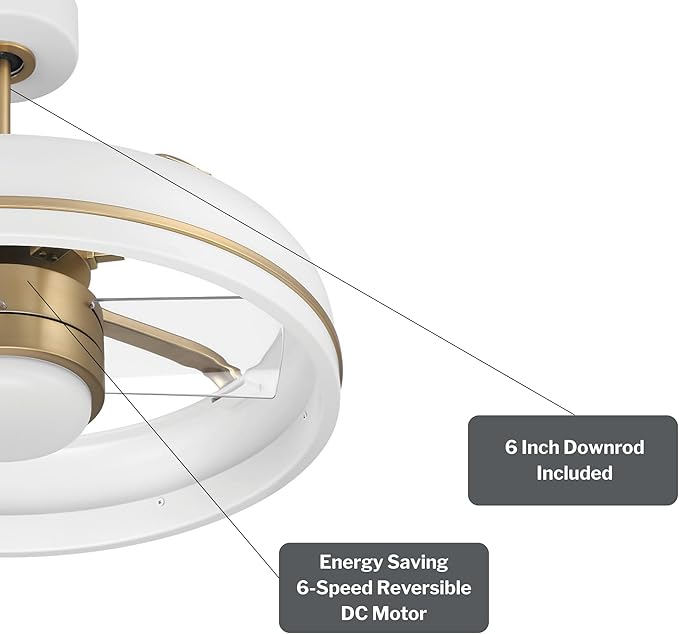 Craftmade Taylor 20" Dual Mount Indoor/Outdoor Flat Black Finish Ceiling Fan, LED Light Kit, Remote Control Included, Smart WiFi Enabled with Voice Activation (White/Satin Brass)