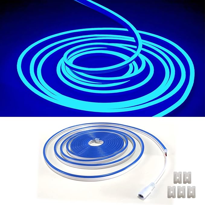 Blue Neon LED Strip Light, 16.4ft/5M Flexible Rope Light - 12V DC, 600 LEDs, Waterproof for Indoor & Outdoor Home Decor (Include Power Adapter)