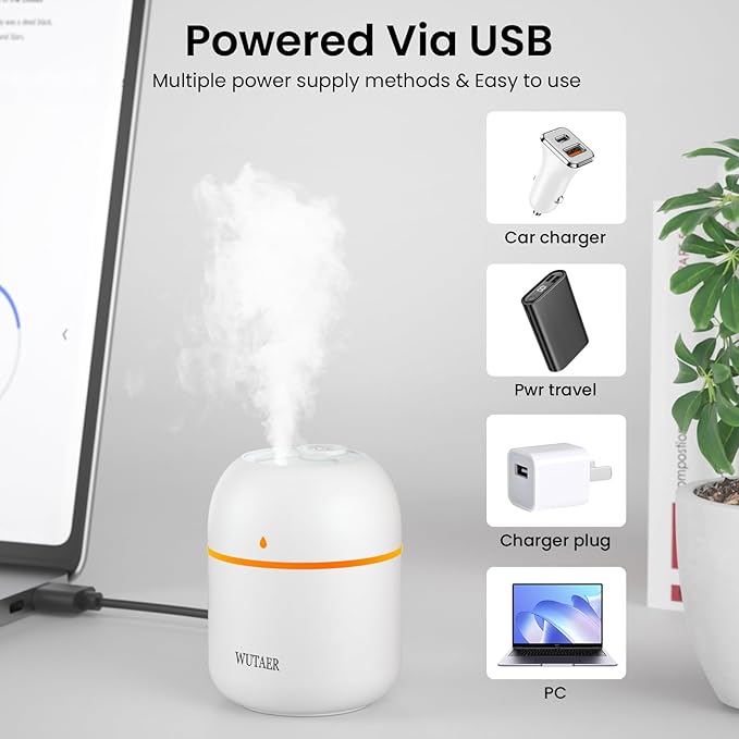 Portable Small Humidifier, WUTAER USB Personal Desktop Humidifier for Car, Office Room, Bedroom, Auto Shut-Off, 2 Mist Modes, Super Quiet(220ml, White)