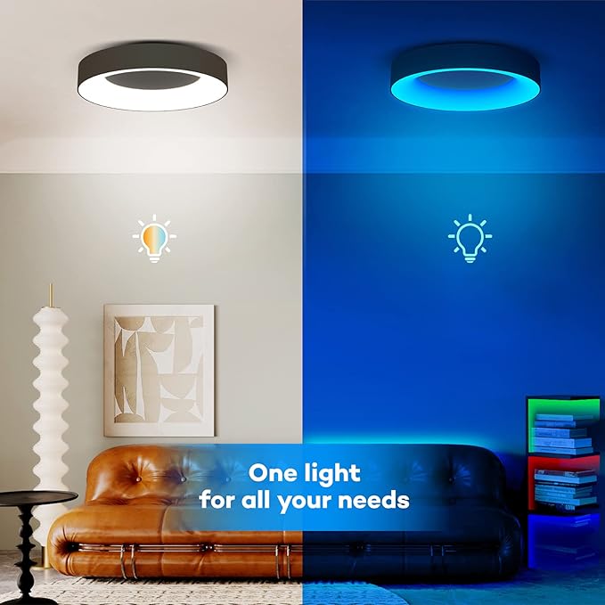 RGB Led Flush Mount Ceiling Light with Remote Control, 11 Inch 24W Black Ceiling Light Fixture, 3000K-6500K Light Color Changeable, Modern Ceiling Lights for Bedroom Kids Room