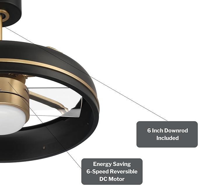 Craftmade Taylor 20" Dual Mount Indoor/Outdoor Flat Black Finish Ceiling Fan, LED Light Kit, Remote Control Included, Smart WiFi Enabled with Voice Activation (Flat Black/Satin Brass)