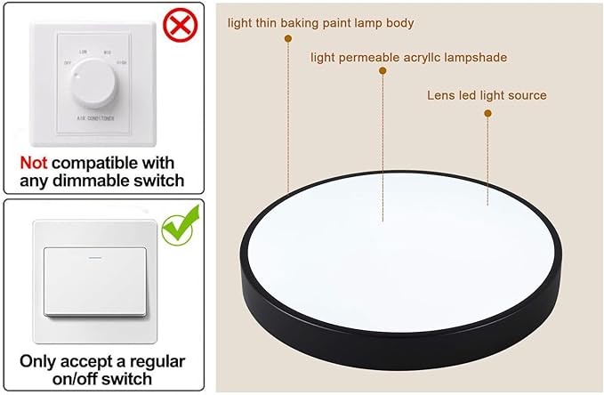 Ganeed LED Flush Mount Ceiling Light, 19.6Inch 39W Modern Ceiling Light Fixture, Black Ceiling Lamp for Dining Room Hallway Living Room Bedroom Office
