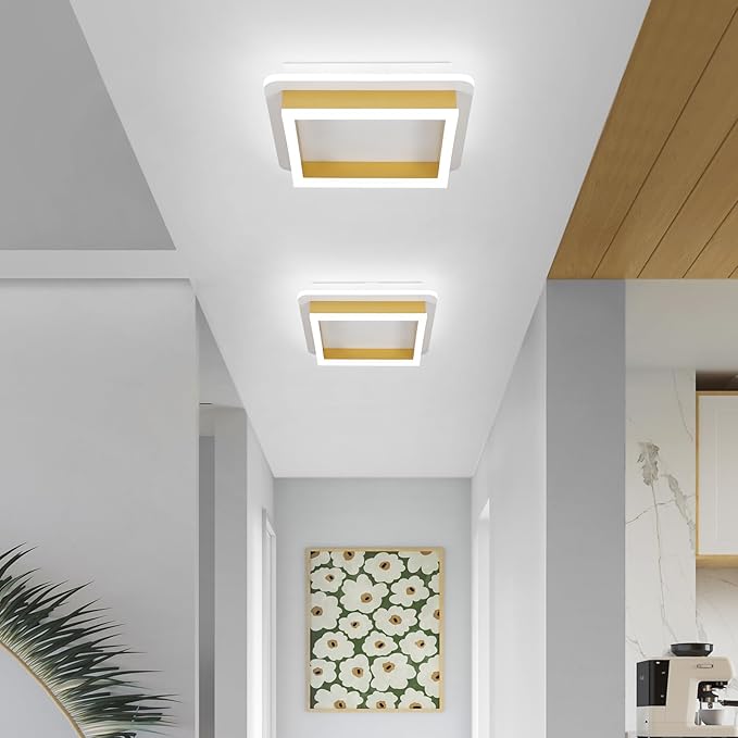 CANEOE Square Flush Mount Ceiling Light 24W Modern Led Hallway Ceiling Light Fixtures Gold Close to Ceilings Lamp for Bedroom Bathroom Living Room Laundry Kitchen